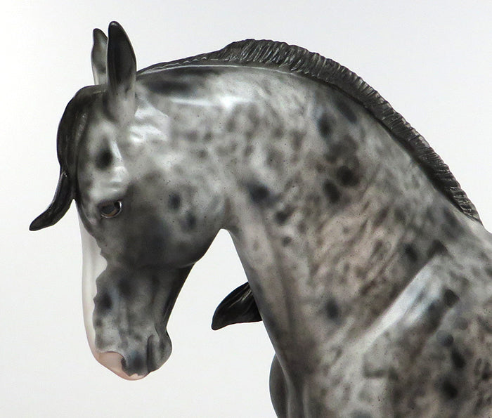 FUEGO-OOAK APPALOOSA ANDALUSIAN MODEL HORSE 6/10