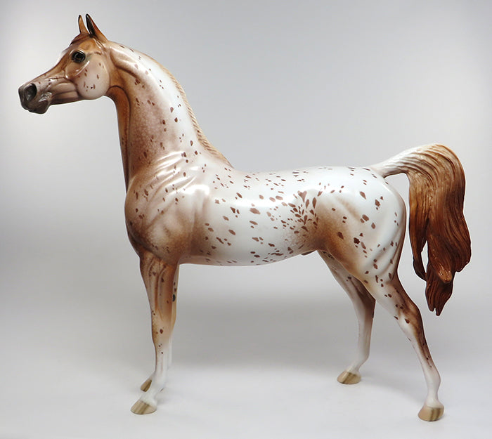 dream catcher arabain 