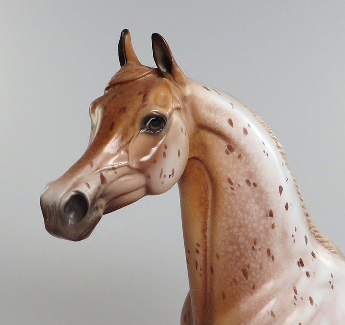 chestnut arabian dream catcher