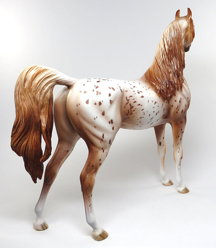 peter stone araloosa