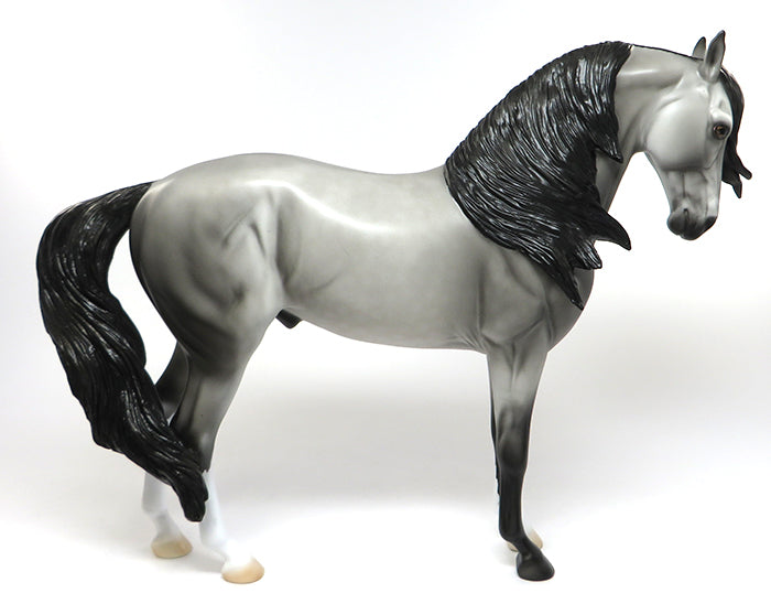 andalusian windswept andalusian