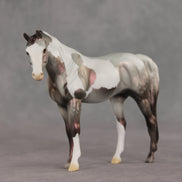 Incantation OOAK Pebble Arabian Mare by Dawn Quick VV26