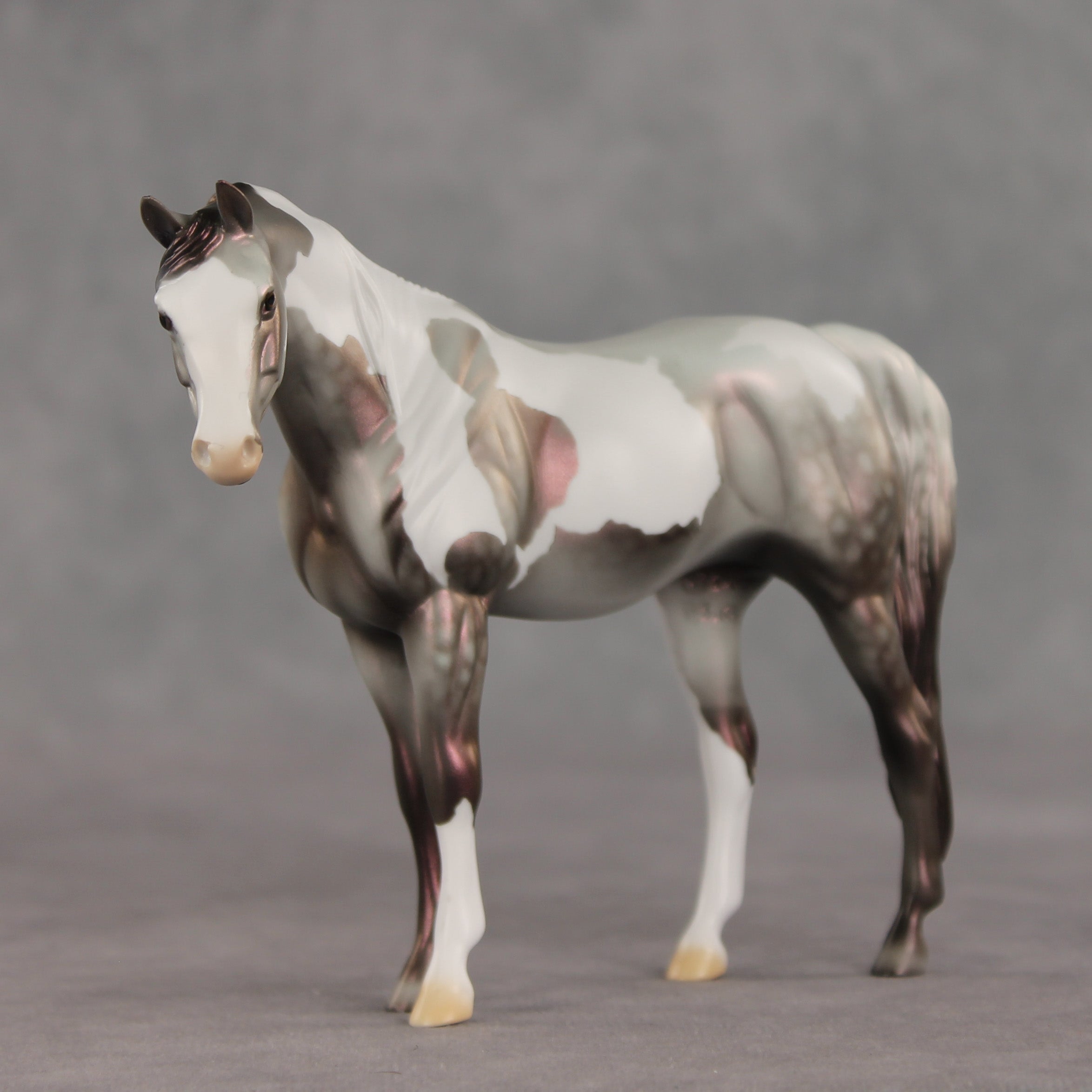 Incantation OOAK Pebble Arabian Mare by Dawn Quick VV26
