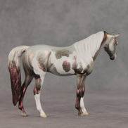 Incantation OOAK Pebble Arabian Mare by Dawn Quick VV26