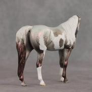 Incantation OOAK Pebble Arabian Mare by Dawn Quick VV26