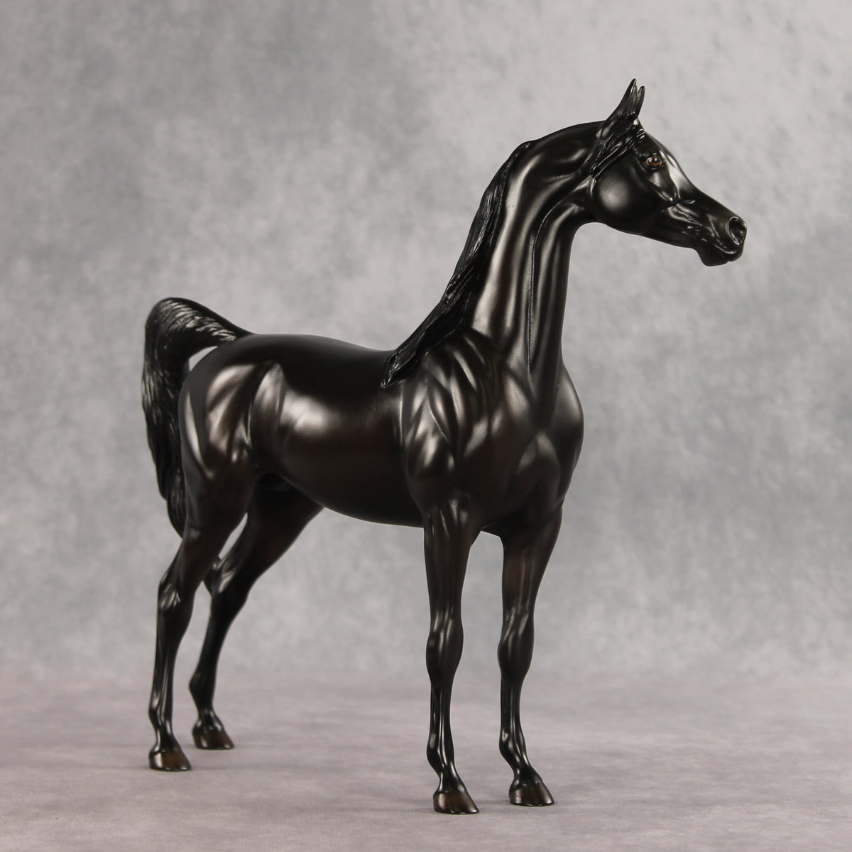 In Darkness OOAK Arabian Stallion by Ellen Robbins VV26