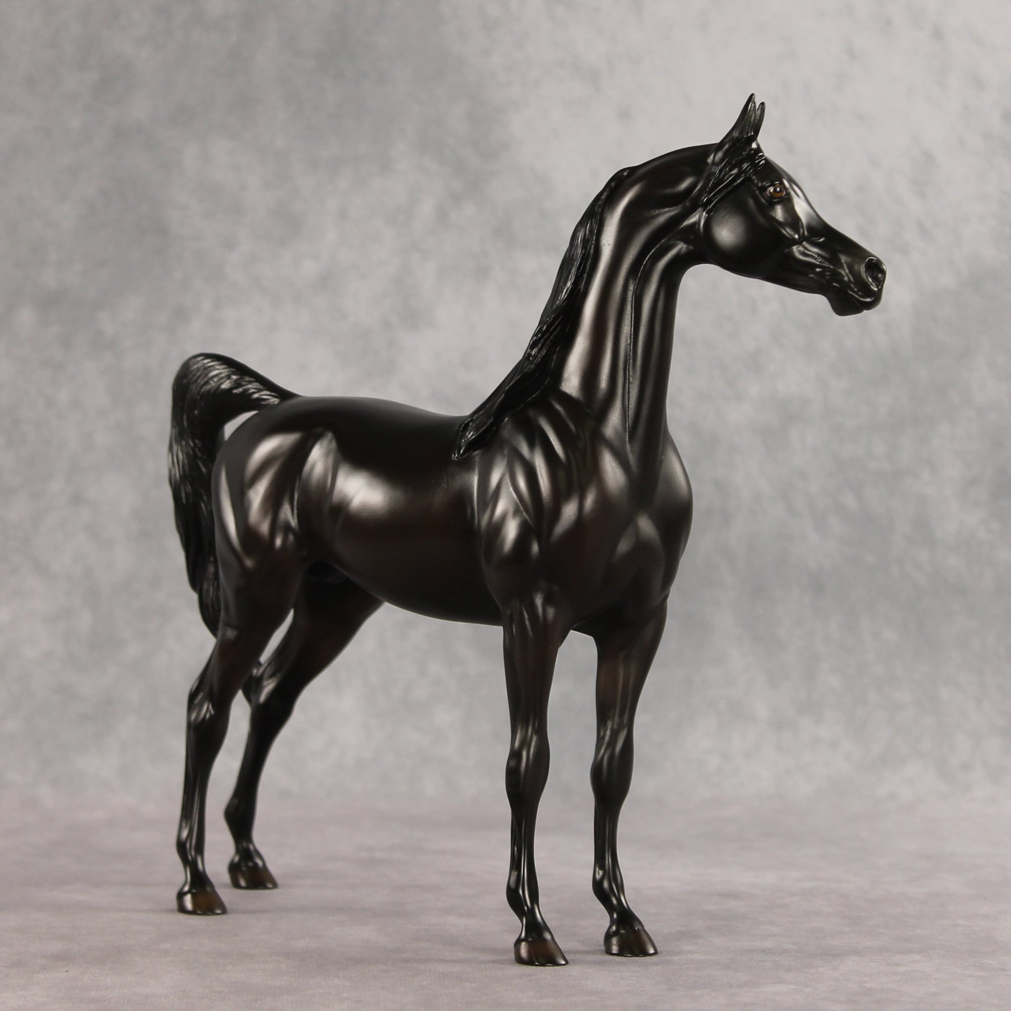 In Darkness OOAK Arabian Stallion by Ellen Robbins VV26