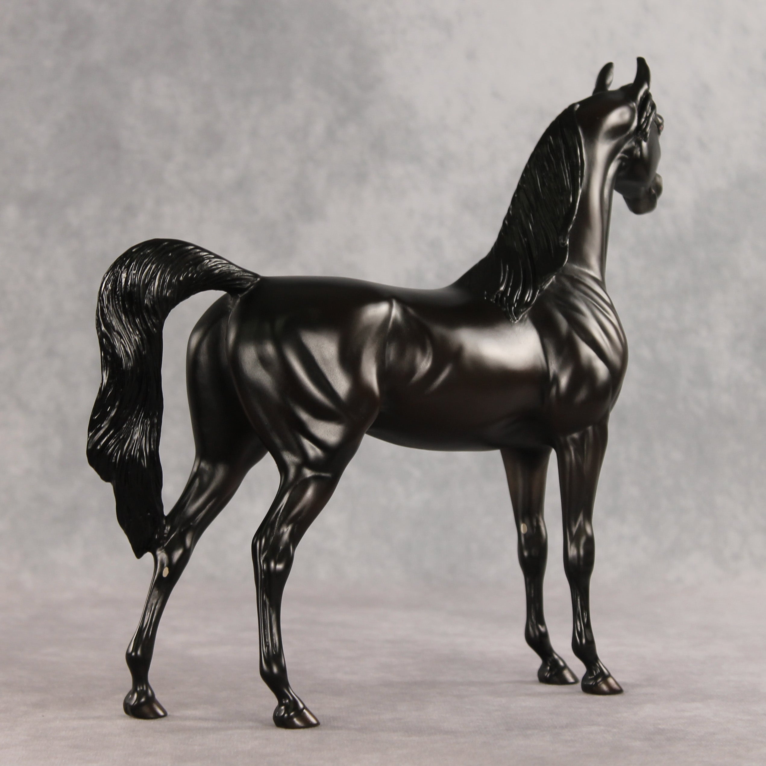 In Darkness OOAK Arabian Stallion by Ellen Robbins VV26