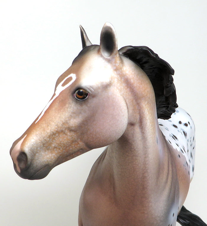 DRAMA QUEEN-OOAK BAY APPALOOSA ISH MODEL HORSE 4/15