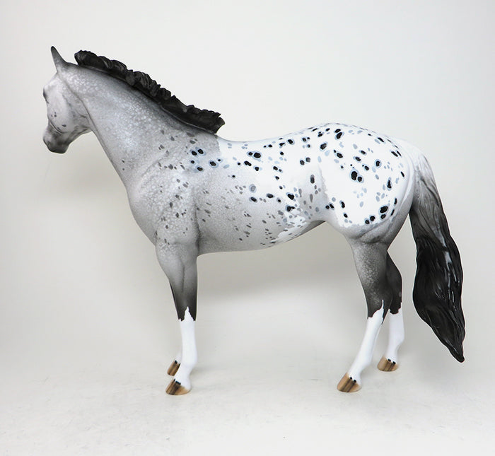 appaloosa