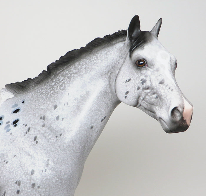 appaloosa ish