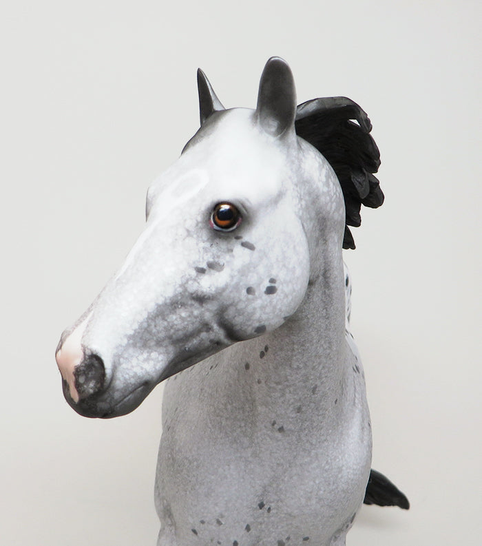 smokin hot ish appaloosa