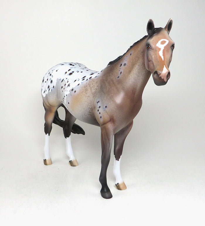 appaloosa is drama queen