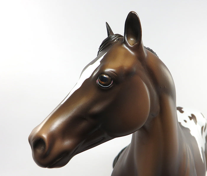 JACINTO - OOAK BAY APPALOOSA WITH BLANKET ISH MODEL HORSE