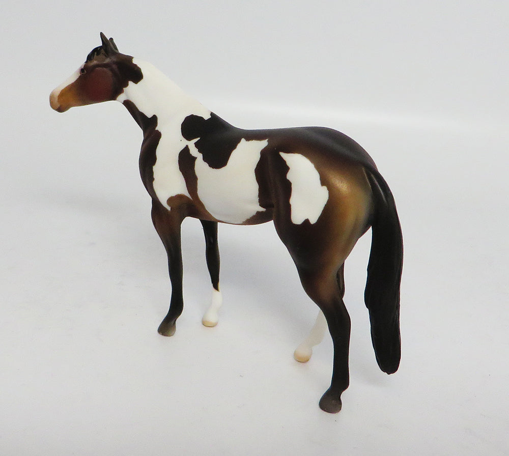 JACK DANIELS-LE4 CHESTNUT PAINT QUARTER HORSE CHIPS