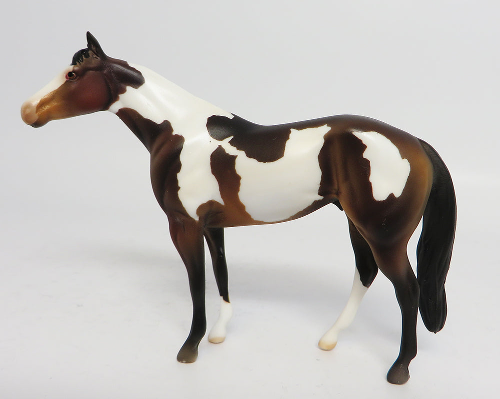 JACK DANIELS-LE4 CHESTNUT PAINT QUARTER HORSE CHIPS