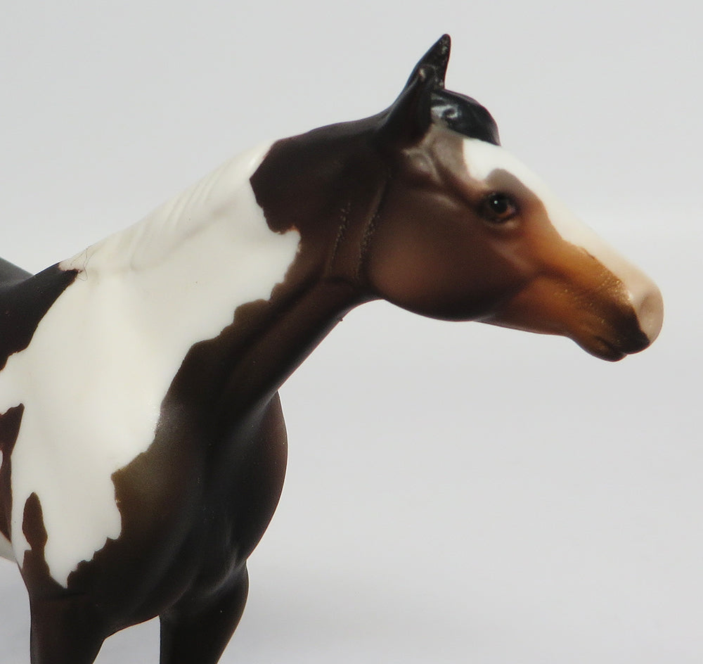 JACK DANIELS-LE4 CHESTNUT PAINT QUARTER HORSE CHIPS