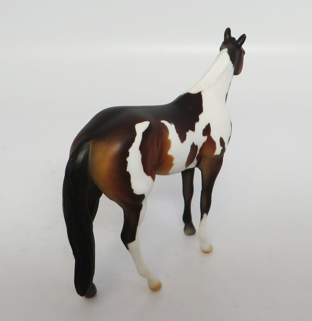 JACK DANIELS-LE4 CHESTNUT PAINT QUARTER HORSE CHIPS