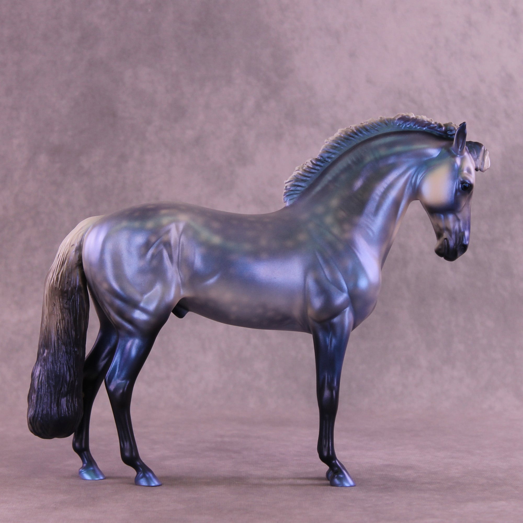 Jack Frost OOAK FCM Andalusian by Anna Rieck HS25