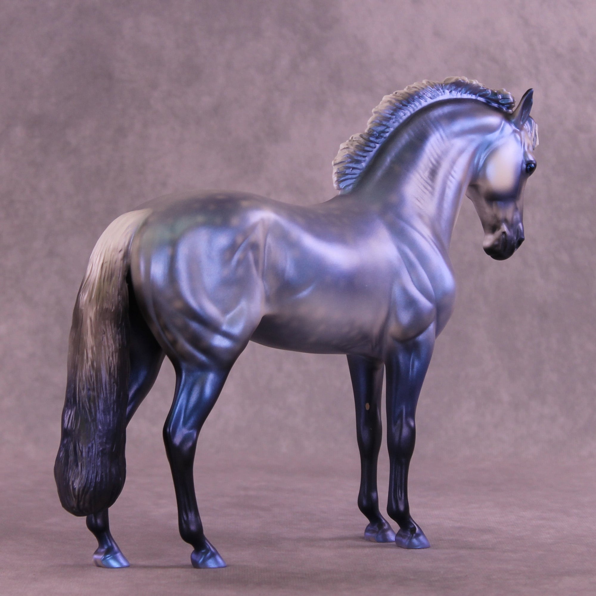 Jack Frost OOAK FCM Andalusian by Anna Rieck HS25