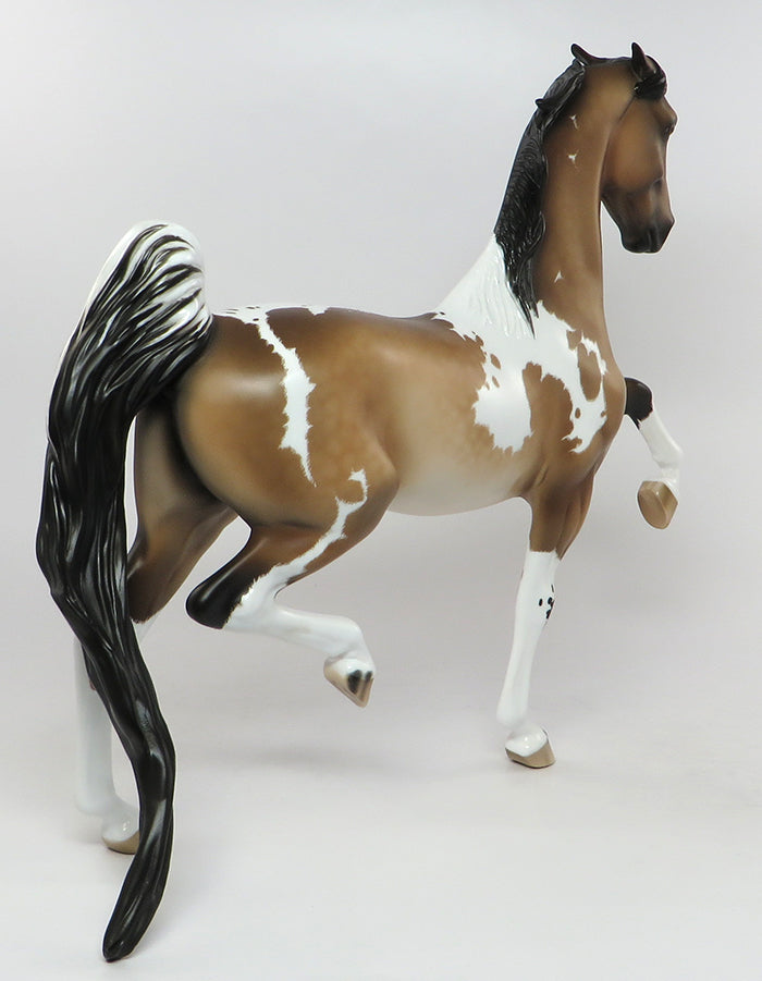 peter stone saddlebred