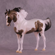 Jonas OOAK FCM Andalusian by Jess Hamill HS25