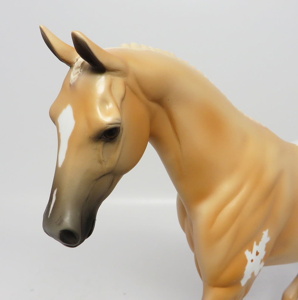 JOSHUA TREE-LE-3 PALOMINO APPY PONY EQ 2017