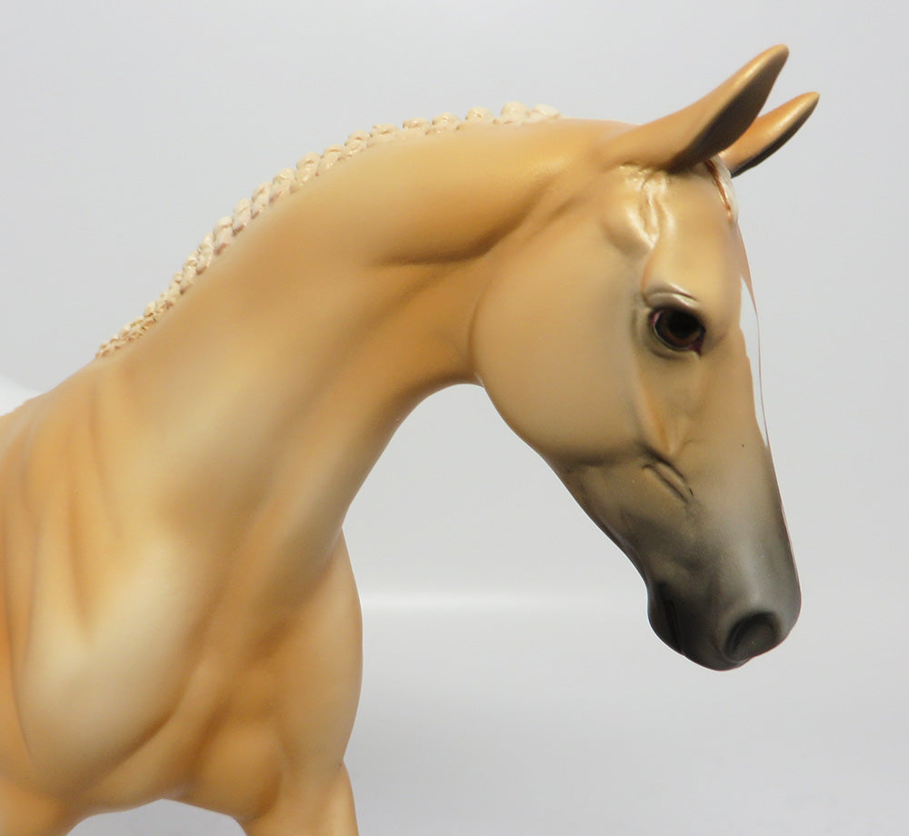 JOSHUA TREE-LE-3 PALOMINO APPY PONY EQ 2017