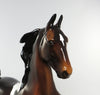 THE JUDGE-BAY DAPPLED TOBIANO SADDLE BRED