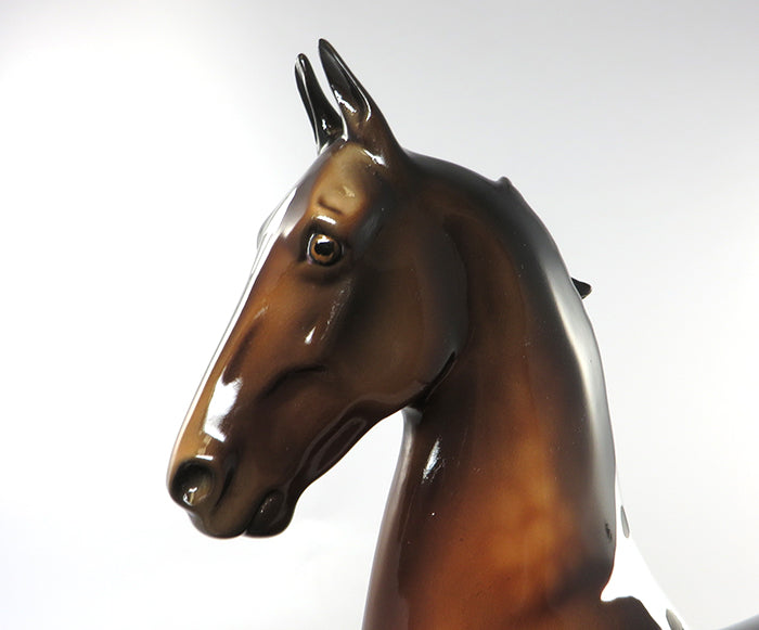 THE JUDGE-BAY DAPPLED TOBIANO SADDLE BRED