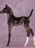 Jujube OOAK Arabian Foal by Erin Corbett HS25