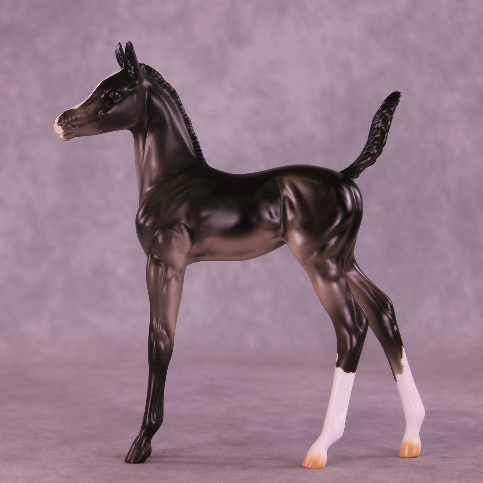 Jujube OOAK Arabian Foal by Erin Corbett HS25