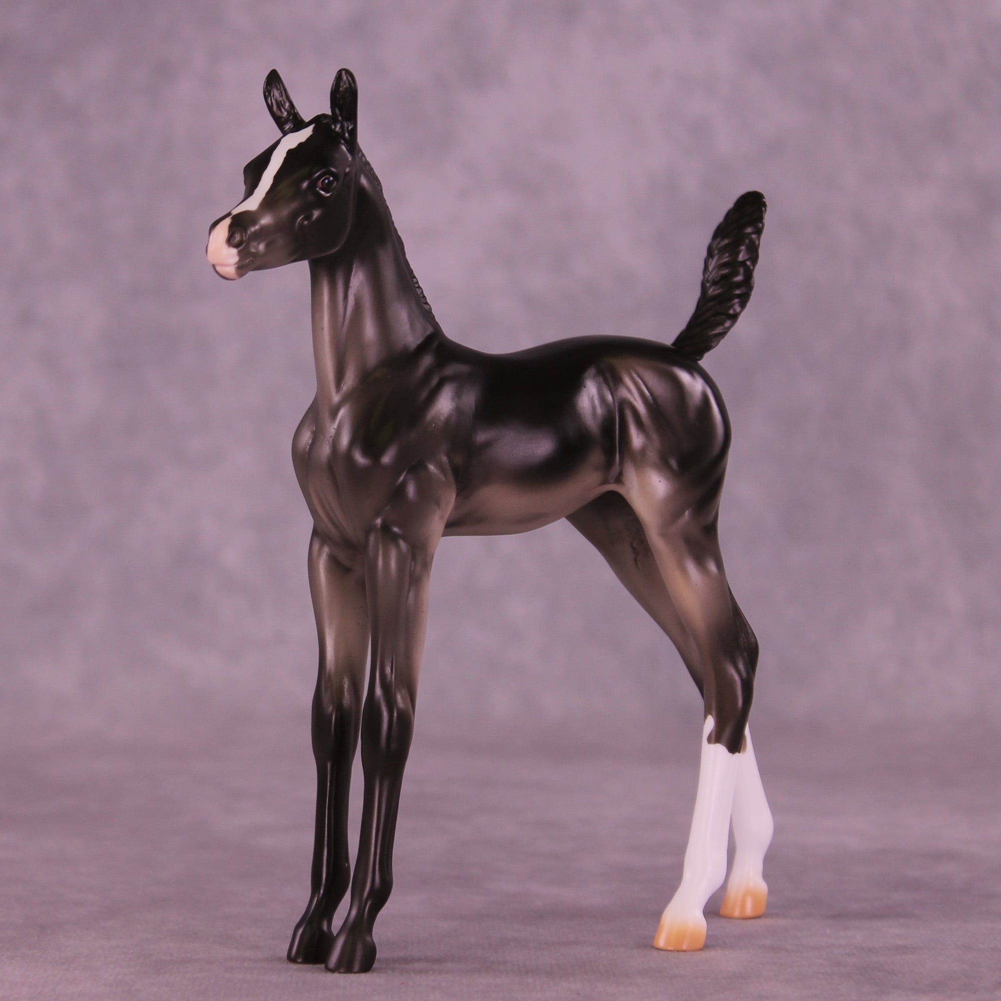 Jujube OOAK Arabian Foal by Erin Corbett HS25