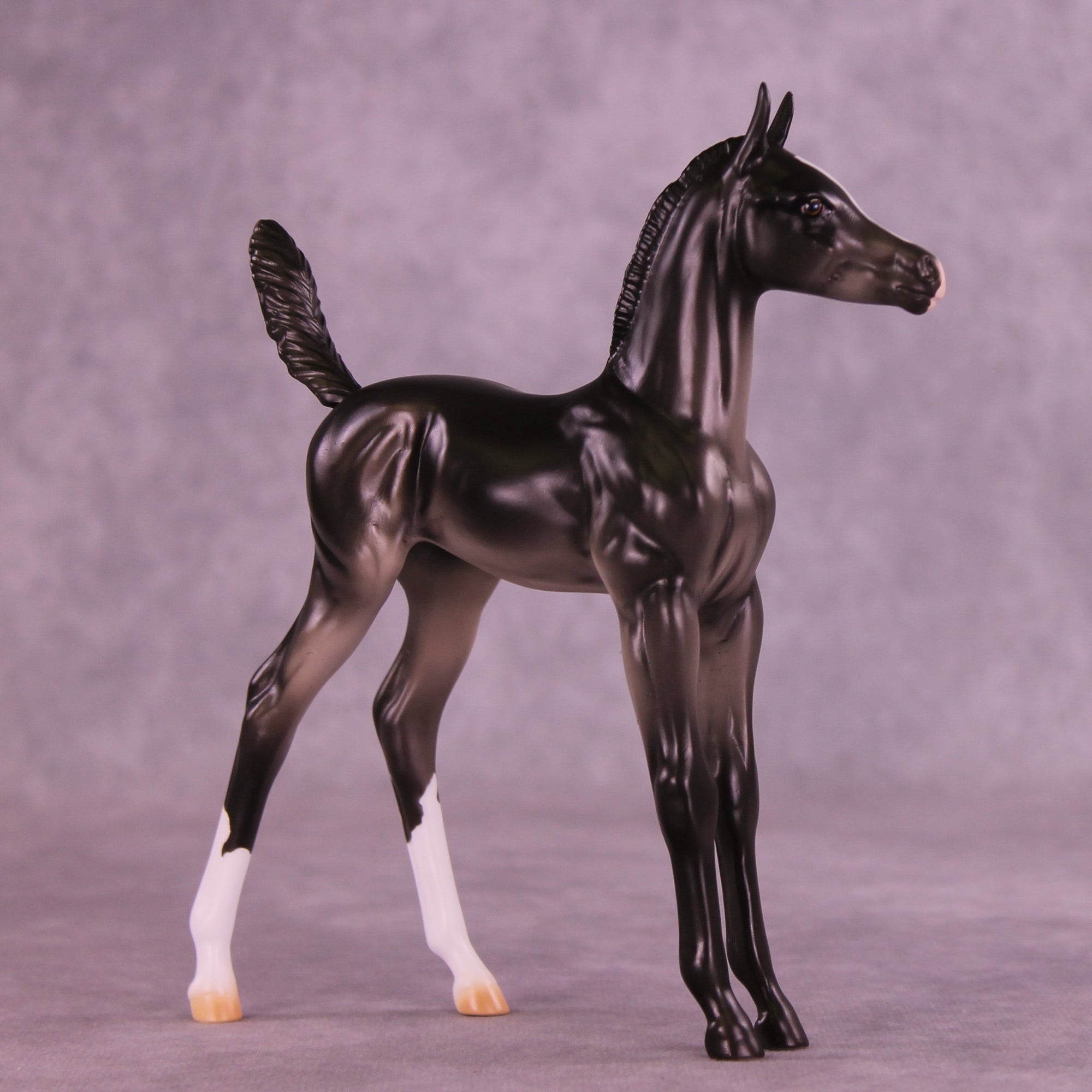 Jujube OOAK Arabian Foal by Erin Corbett HS25