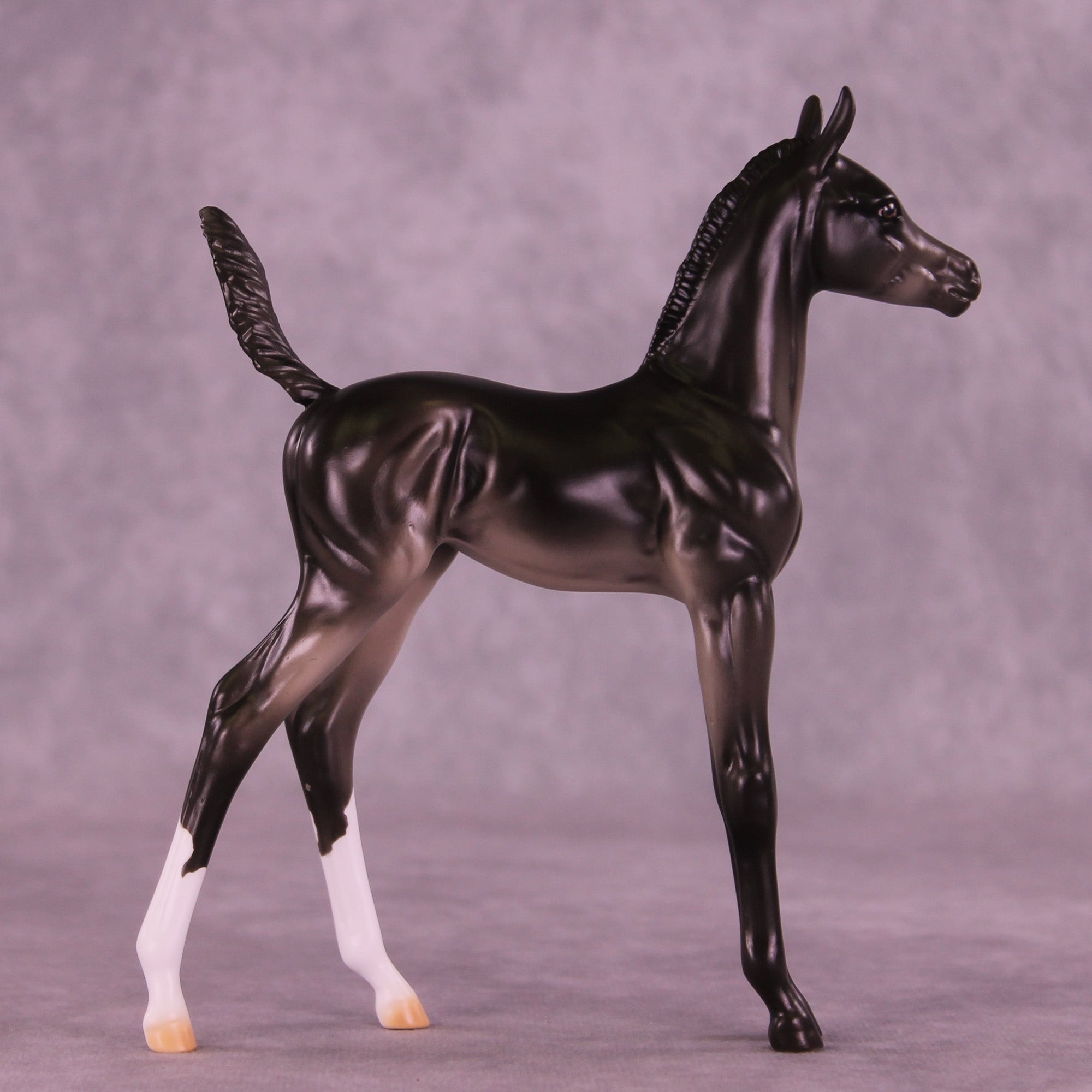 Jujube OOAK Arabian Foal by Erin Corbett HS25