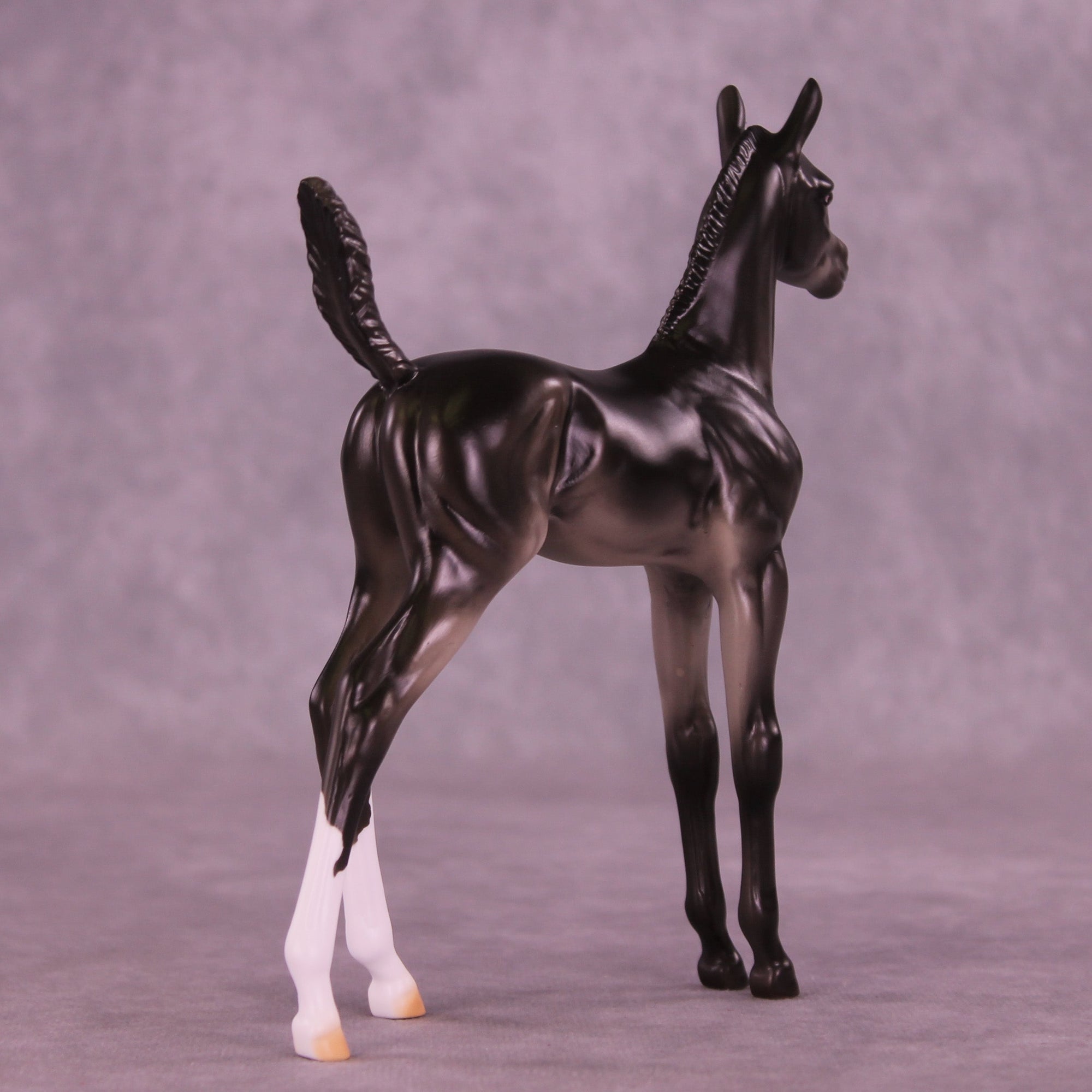 Jujube OOAK Arabian Foal by Erin Corbett HS25