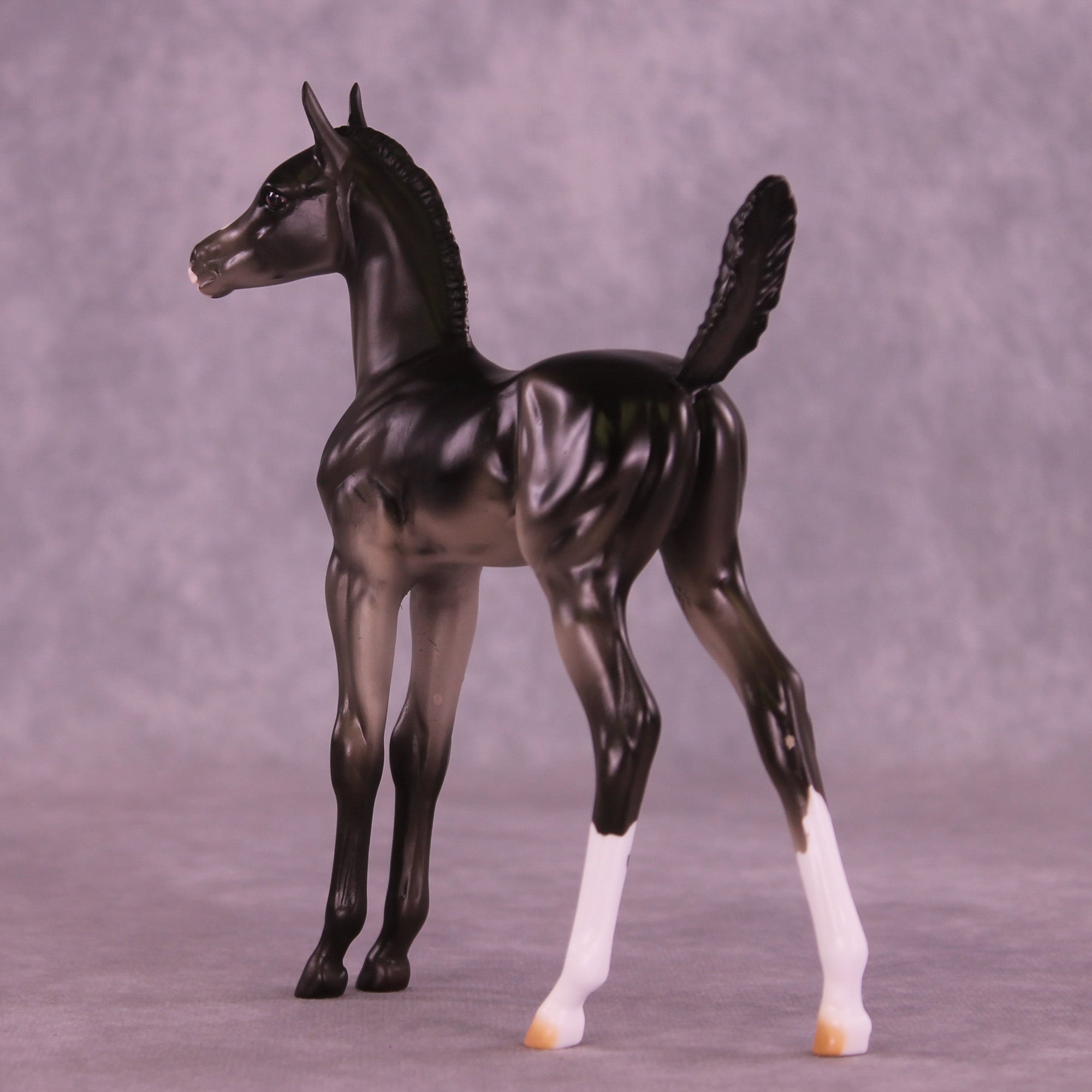 Jujube OOAK Arabian Foal by Erin Corbett HS25