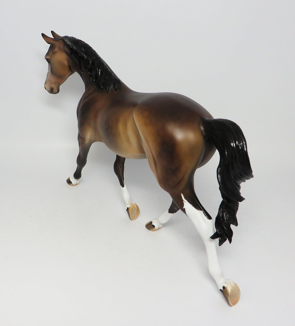 JUSTICE~OOAK DAPPLE BUCKSKIN PALOUSE BY DQ EQ 2017