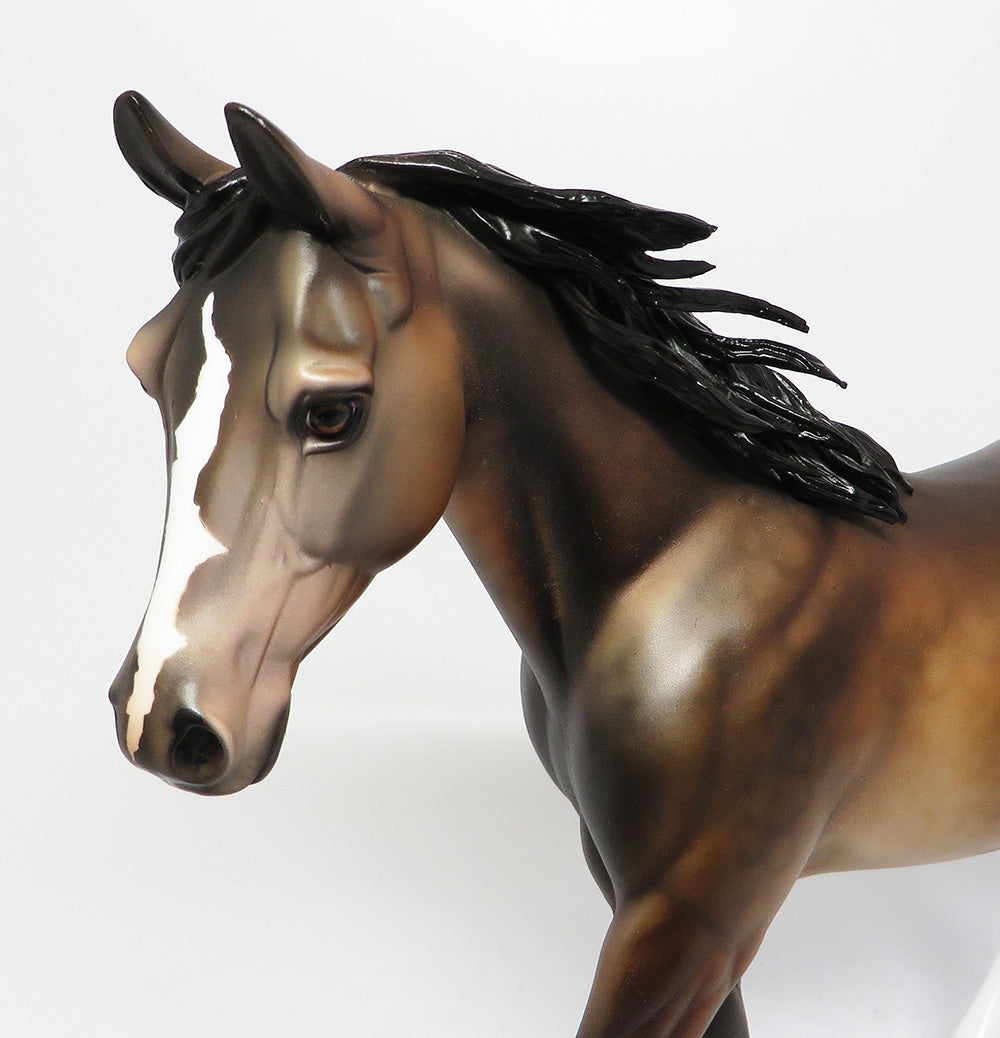 JUSTICE~OOAK DAPPLE BUCKSKIN PALOUSE BY DQ EQ 2017