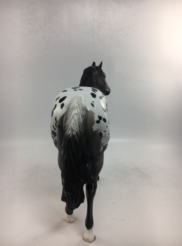 KEEP IN TOUCH-OOAK GREY BLANKET APPALOOSA ISH MODEL HORSE BY DAWN QUICK 2-8-18