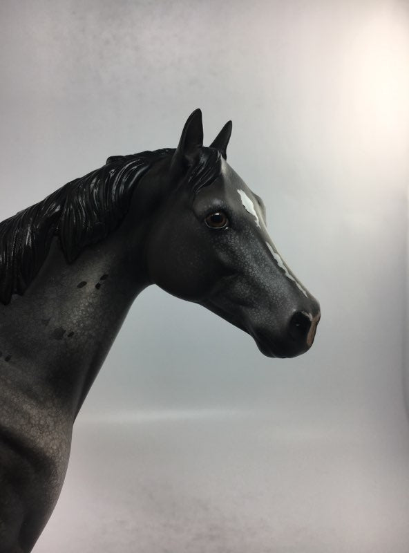 KEEP IN TOUCH-OOAK GREY BLANKET APPALOOSA ISH MODEL HORSE BY DAWN QUICK 2-8-18