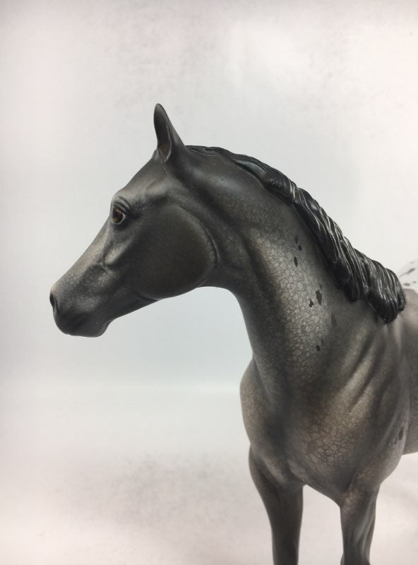 KEEP IN TOUCH-OOAK GREY BLANKET APPALOOSA ISH MODEL HORSE BY DAWN QUICK 2-8-18