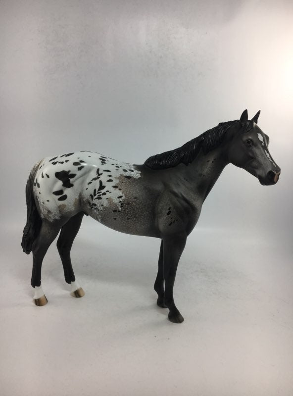 KEEP IN TOUCH-OOAK GREY BLANKET APPALOOSA ISH MODEL HORSE BY DAWN QUICK 2-8-18