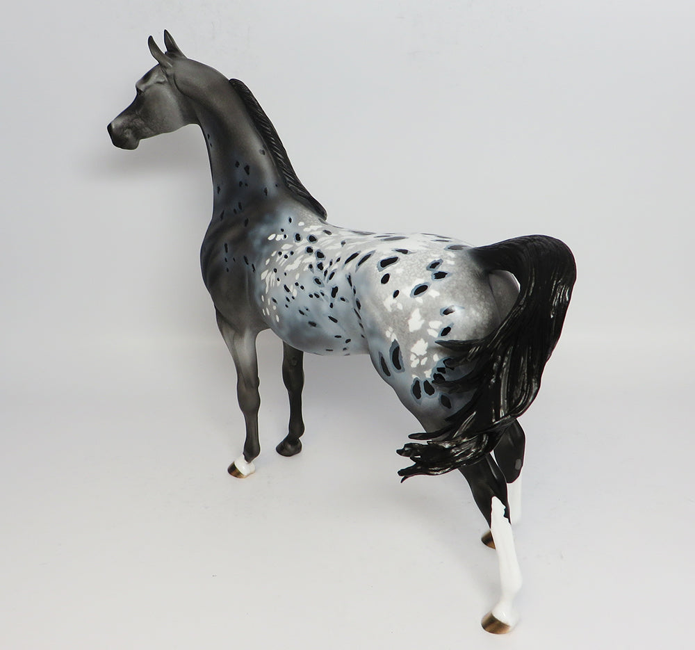 Loud Appaloosa