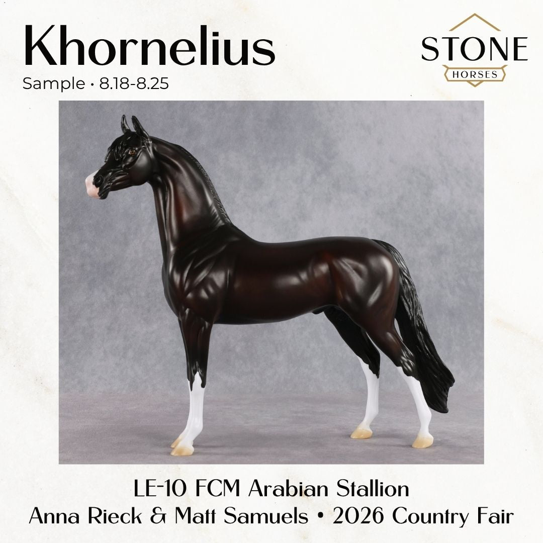 SAMPLE Khornelius LE-10 FCM Arabian Stallion by Anna Rieck &amp; Matt Samuels SS0826