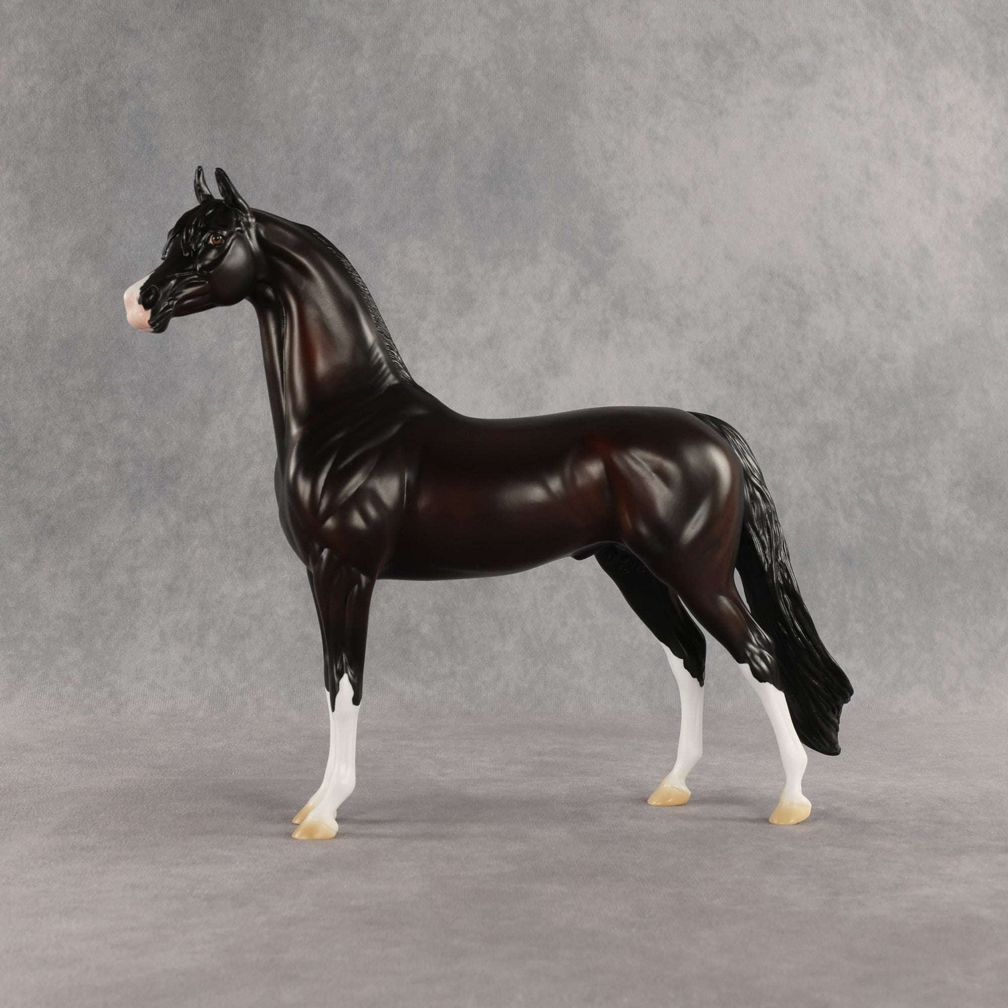 SAMPLE Khornelius LE-10 FCM Arabian Stallion by Anna Rieck &amp; Matt Samuels SS0826
