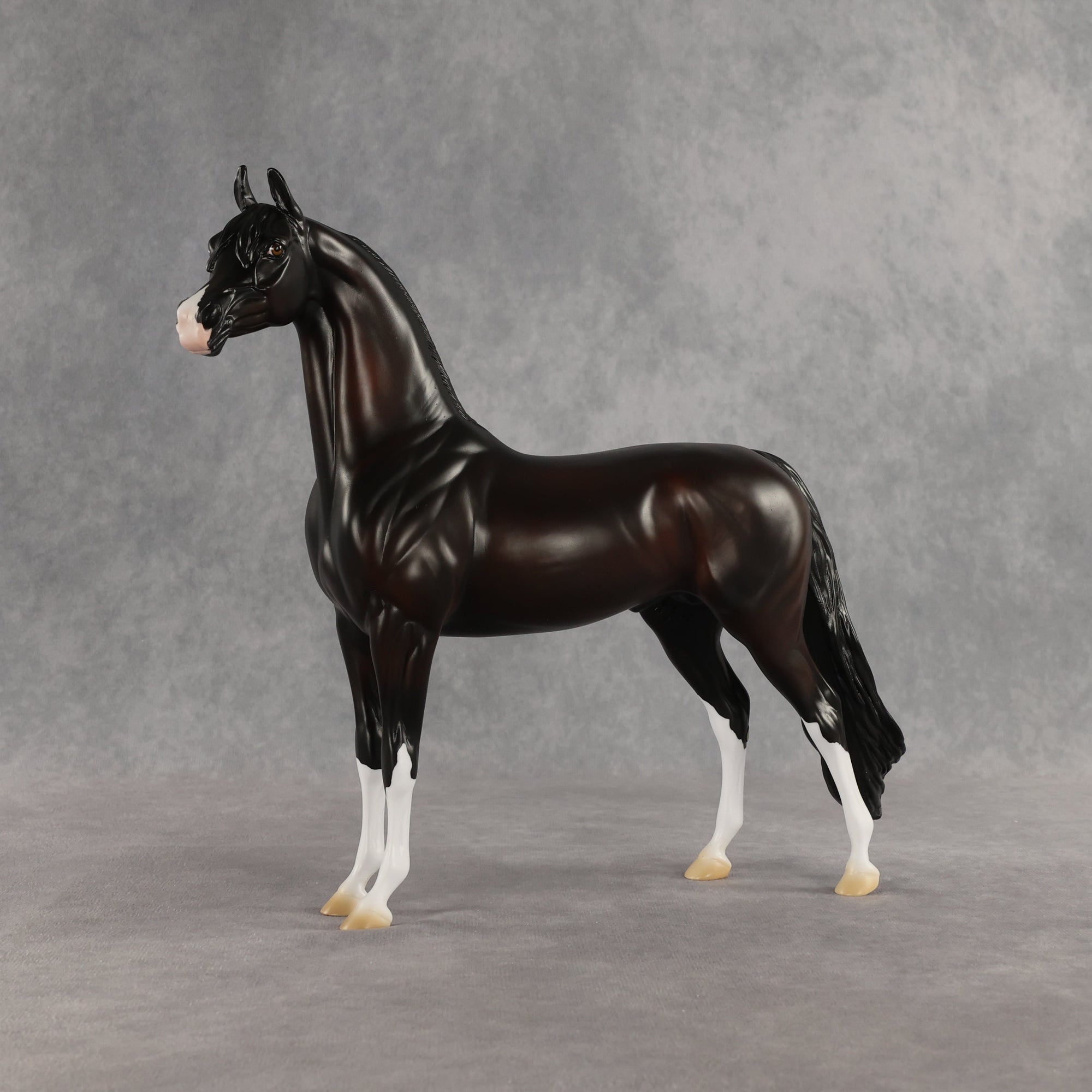 SAMPLE Khornelius LE-10 FCM Arabian Stallion by Anna Rieck &amp; Matt Samuels SS0826
