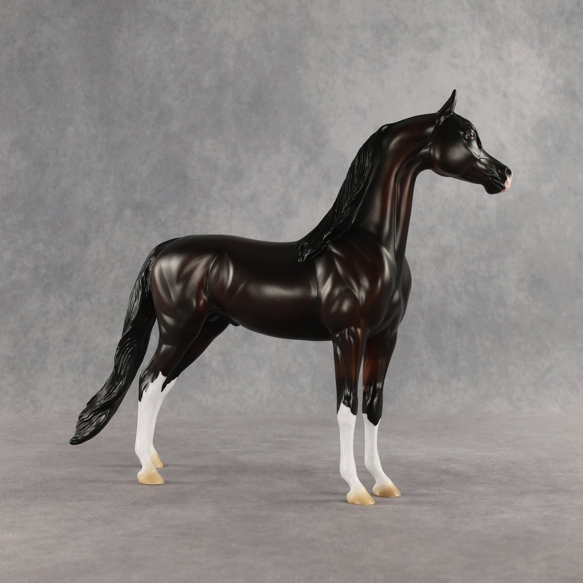 SAMPLE Khornelius LE-10 FCM Arabian Stallion by Anna Rieck &amp; Matt Samuels SS0826