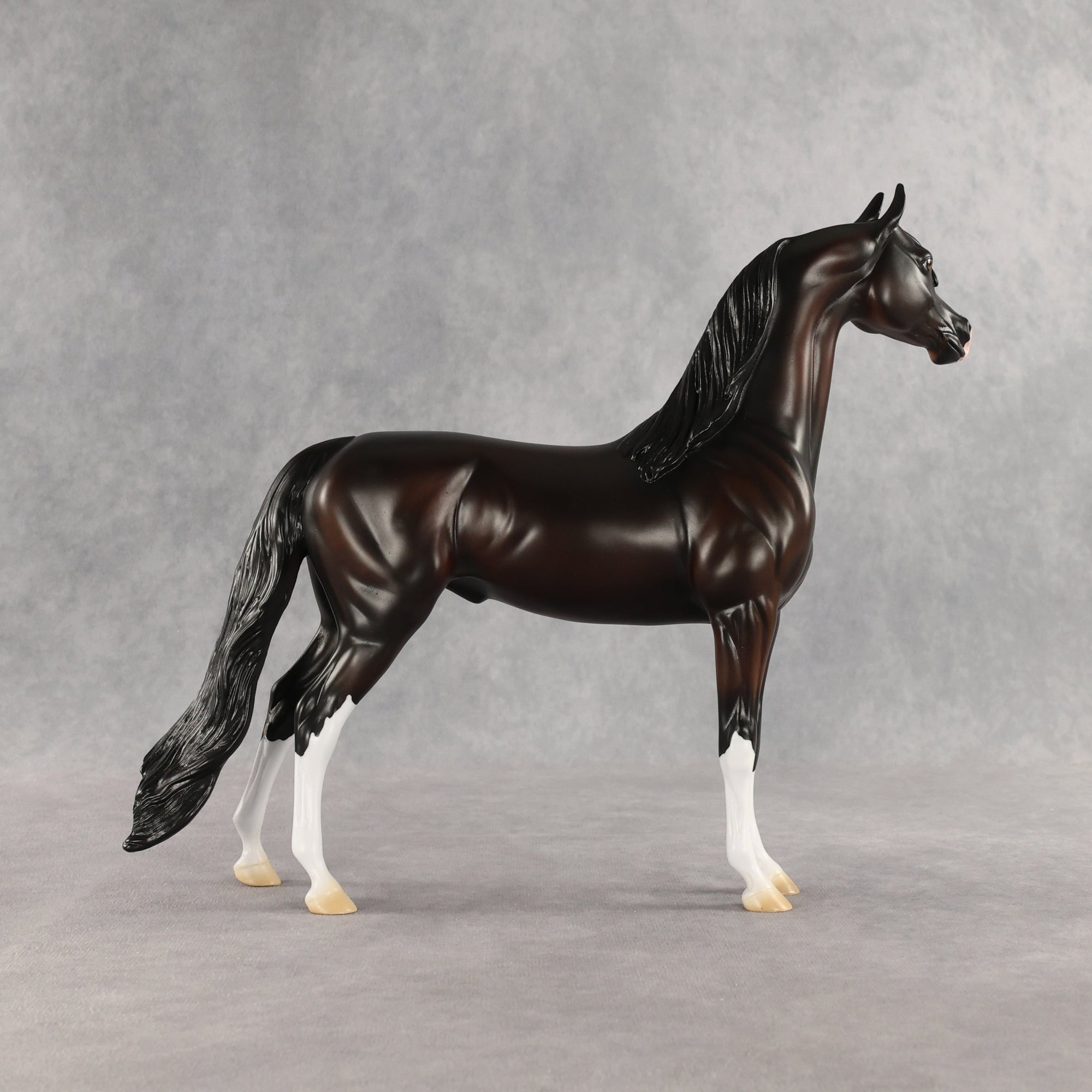 SAMPLE Khornelius LE-10 FCM Arabian Stallion by Anna Rieck &amp; Matt Samuels SS0826