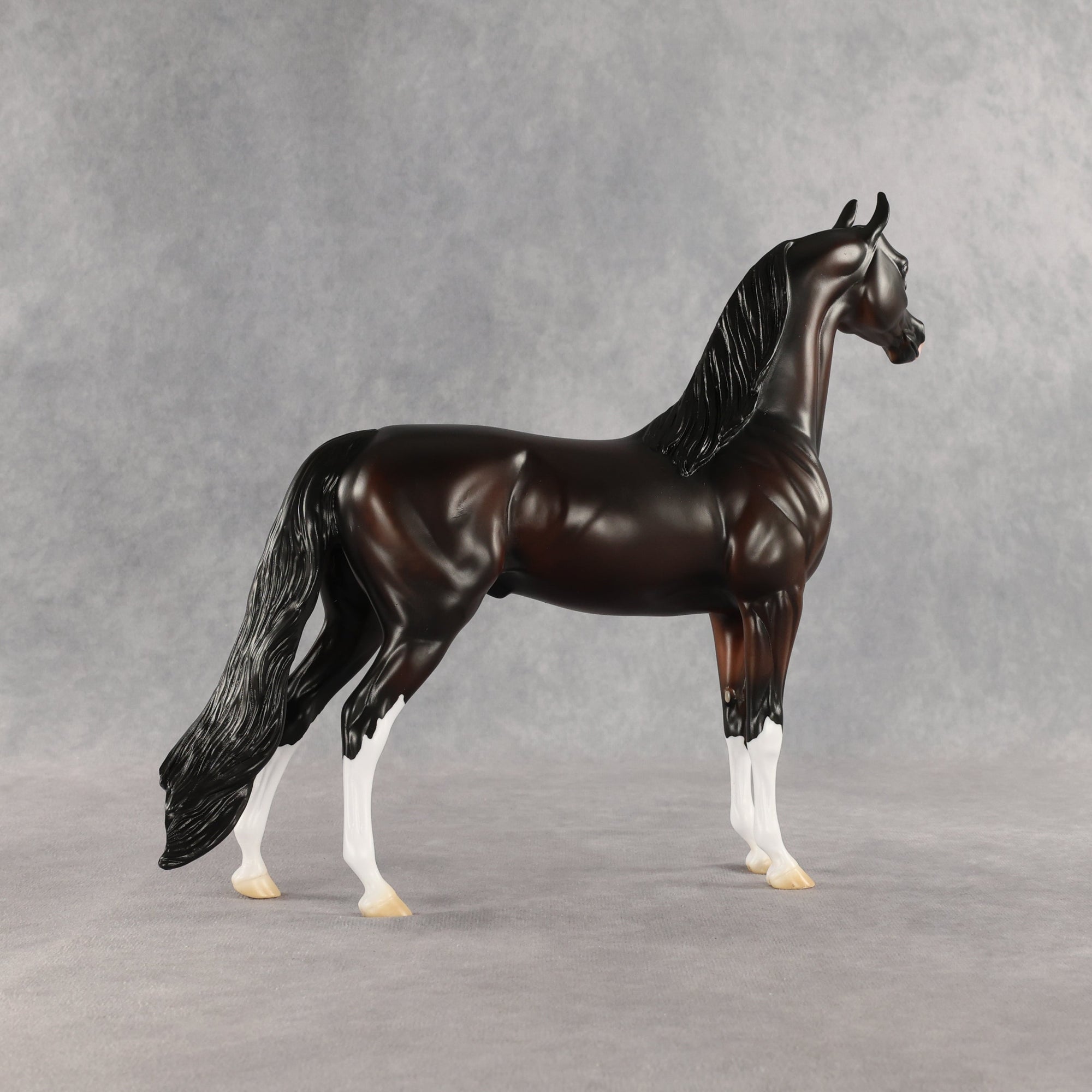 SAMPLE Khornelius LE-10 FCM Arabian Stallion by Anna Rieck &amp; Matt Samuels SS0826